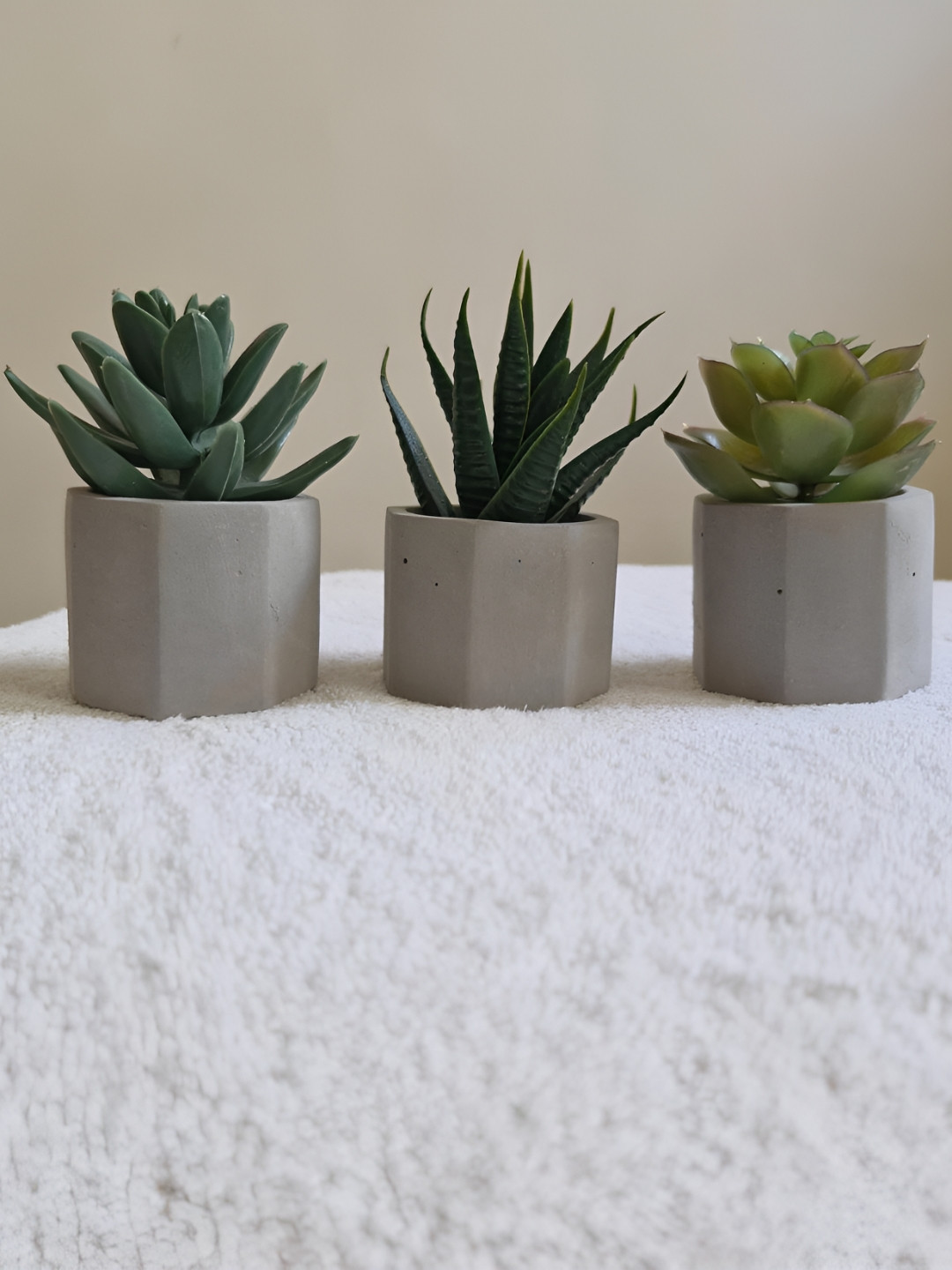 Chitra Artworks Green 3 Pieces Aloe Vera Artificial Plant With Pot