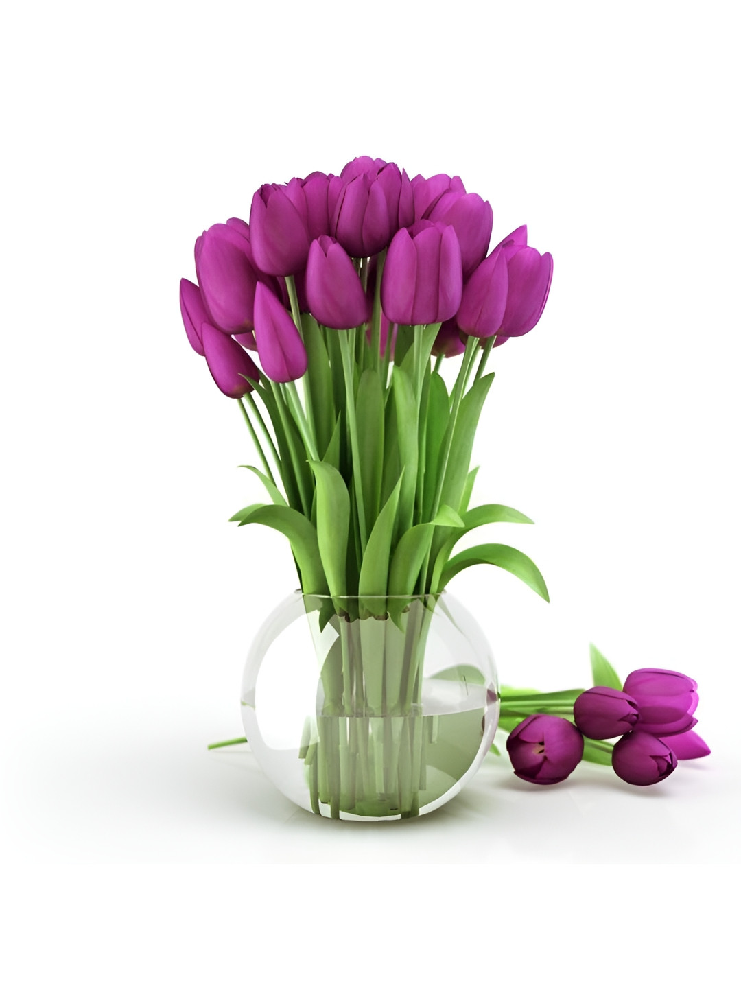 Chitra Artworks Purple 5 Pieces Tulip Artificial Flower