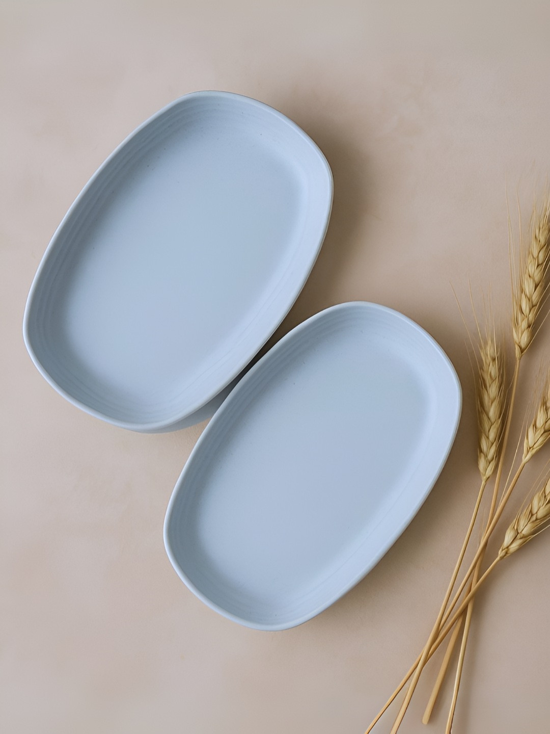 Myntra Elegant Homes Blue 2 Pieces Bamboo Dishwasher & Microwave Safe Oval Shaped Plates