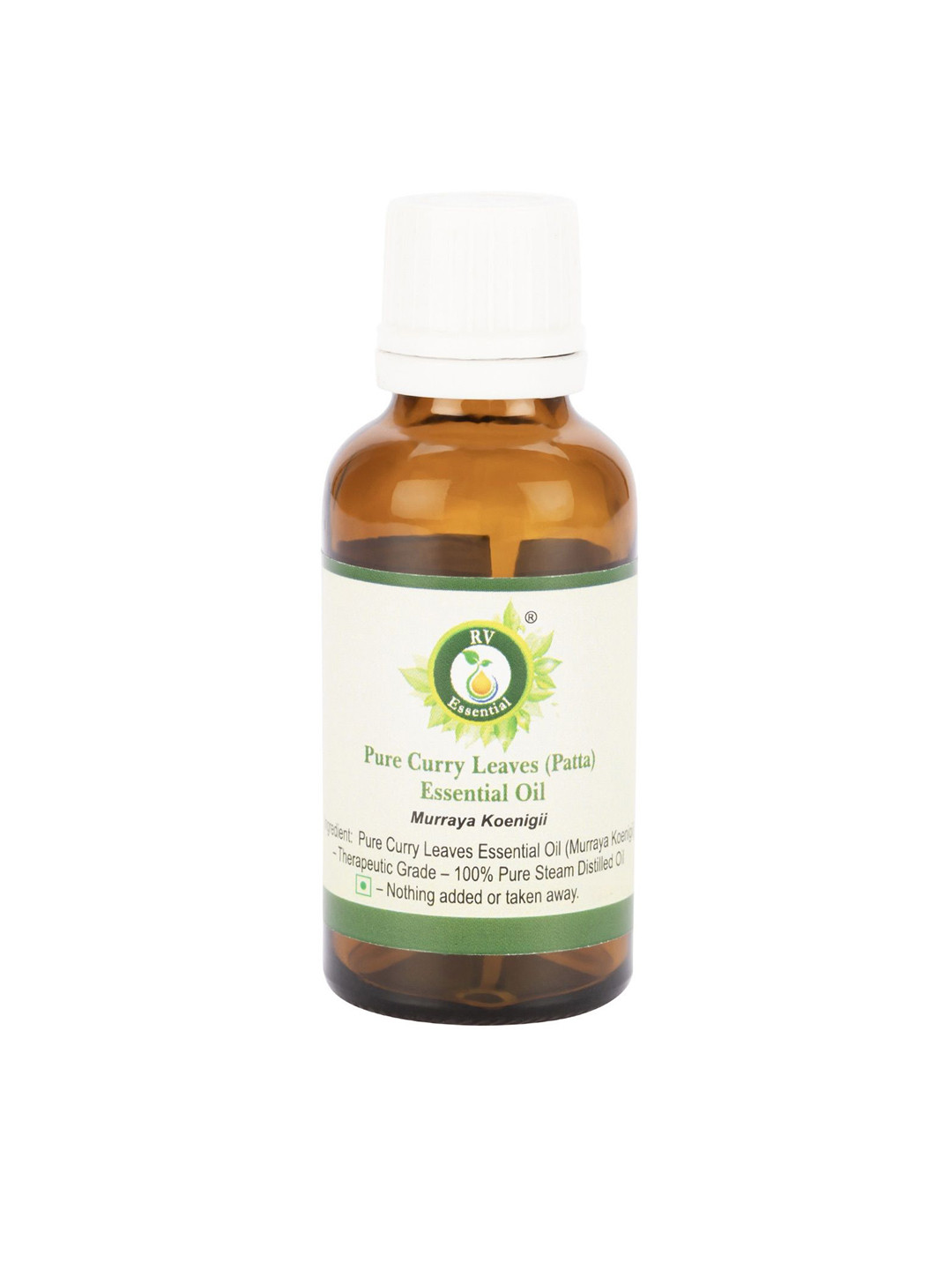R V Essential Pure Curry Leaves Essential Oil - 50 ml