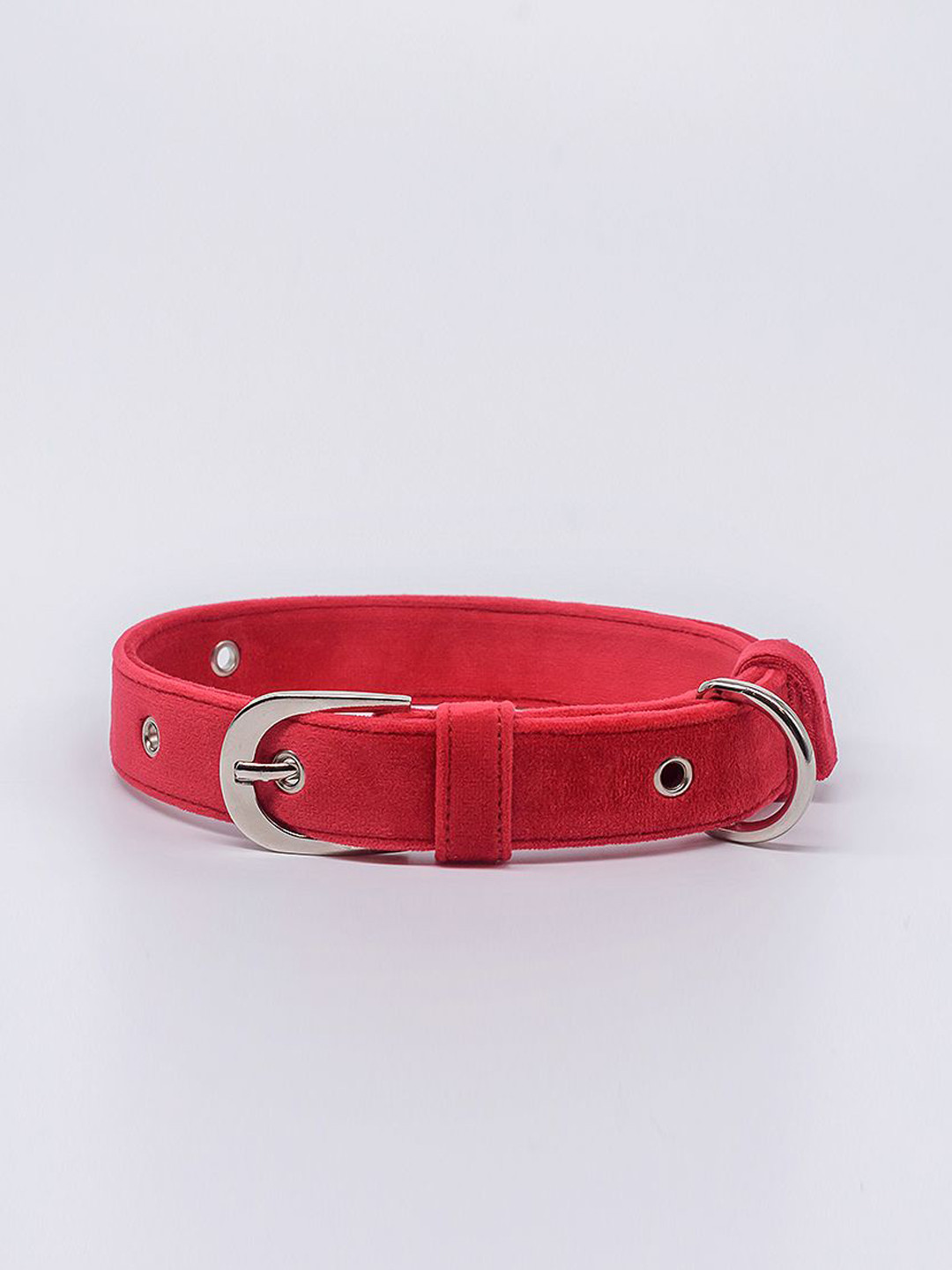 pAww! Training Dog Collar