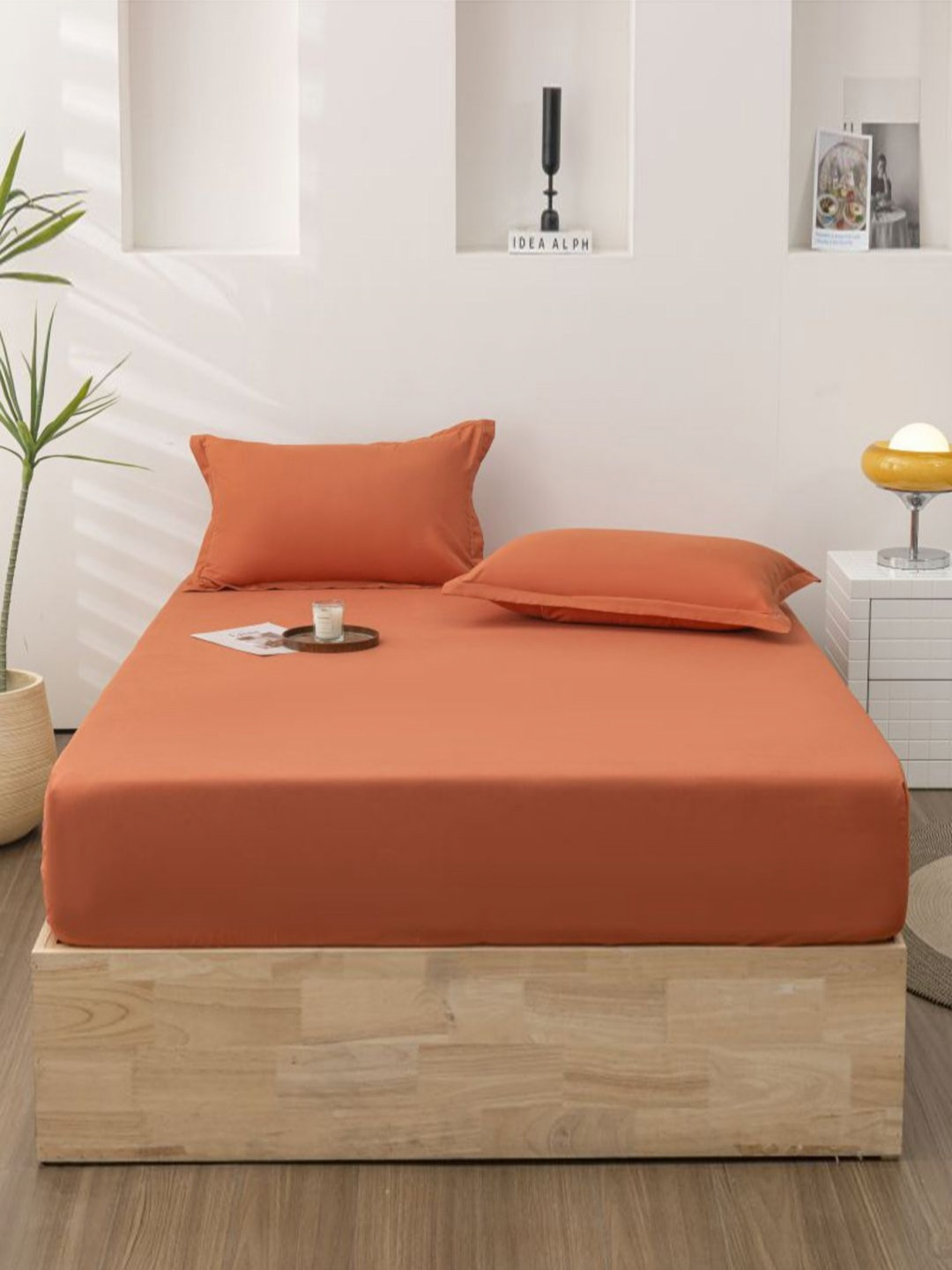 JC HOME Percale Orange Polycotton 140 TC Fitted Queen Bedsheet with 2 Pillow Covers-59 x 79 inches