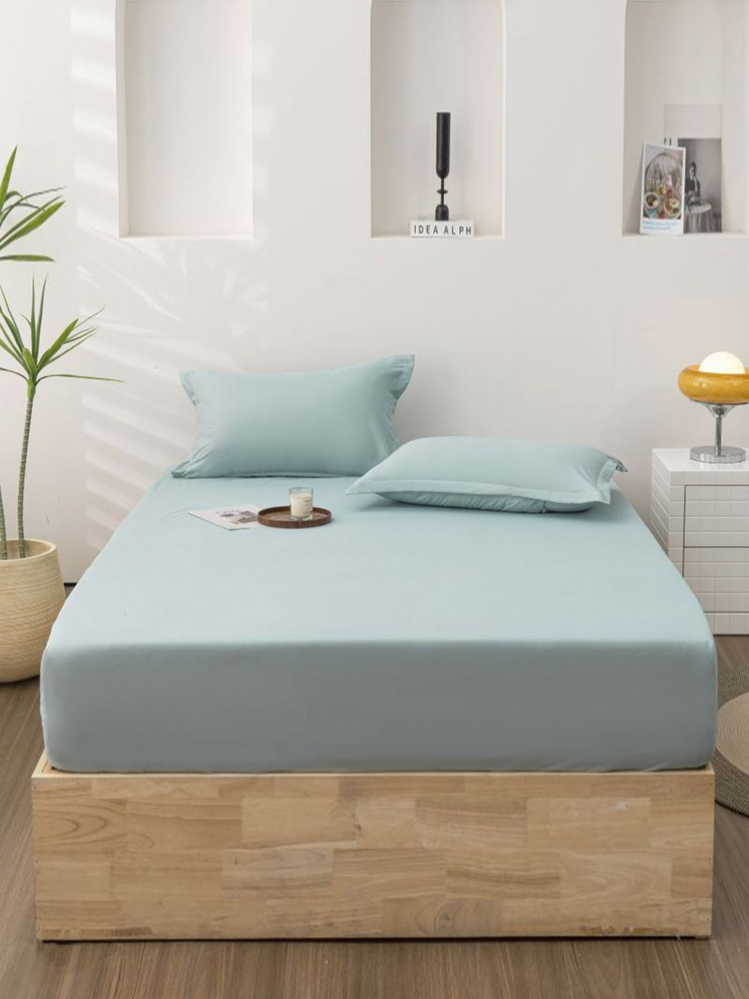 JC HOME Live Beautiful Turquoise Blue Polycotton 140 TC Fitted King Bedsheet with 2 Pillow Covers-71 x 79 inches