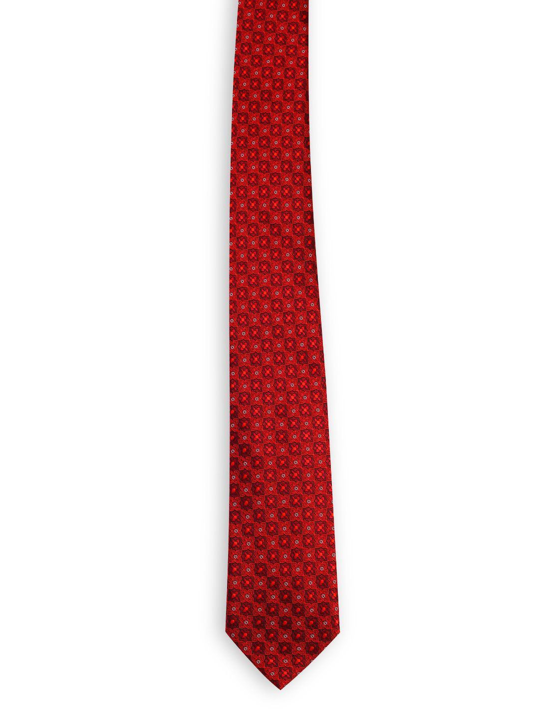ALZ Men Printed Skinny Tie Crafted in Premium Microfibre