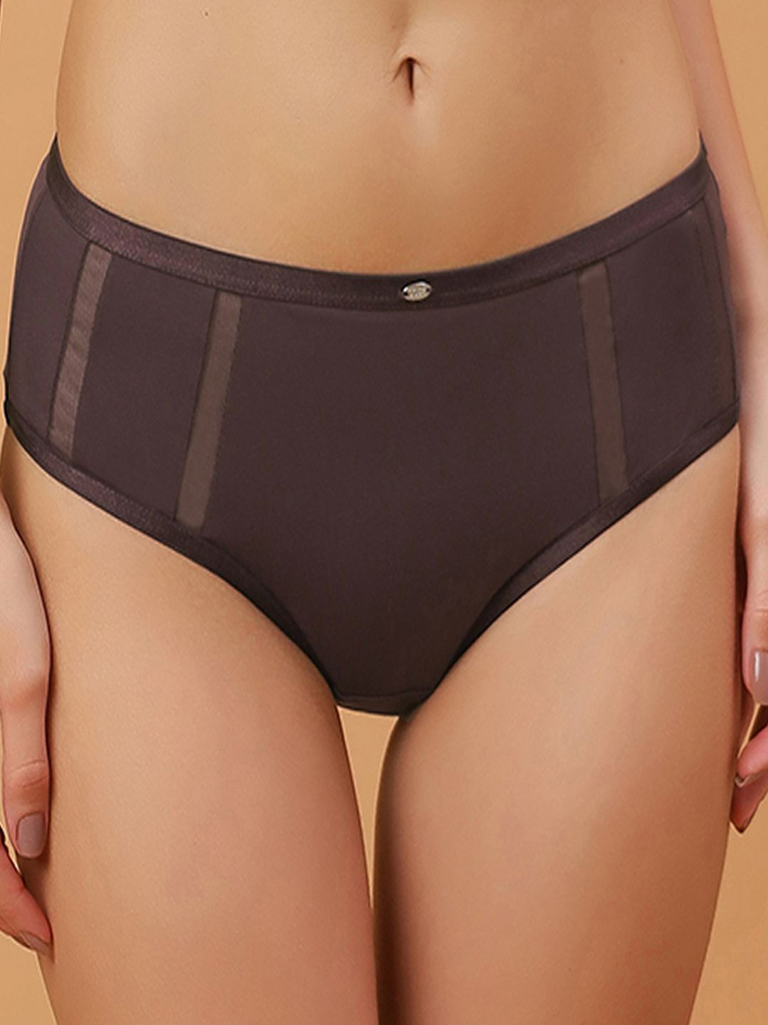 Soie Women High Waist Full Coverage Ultra Soft Mesh Panel Brief CP-1328 FUDGE