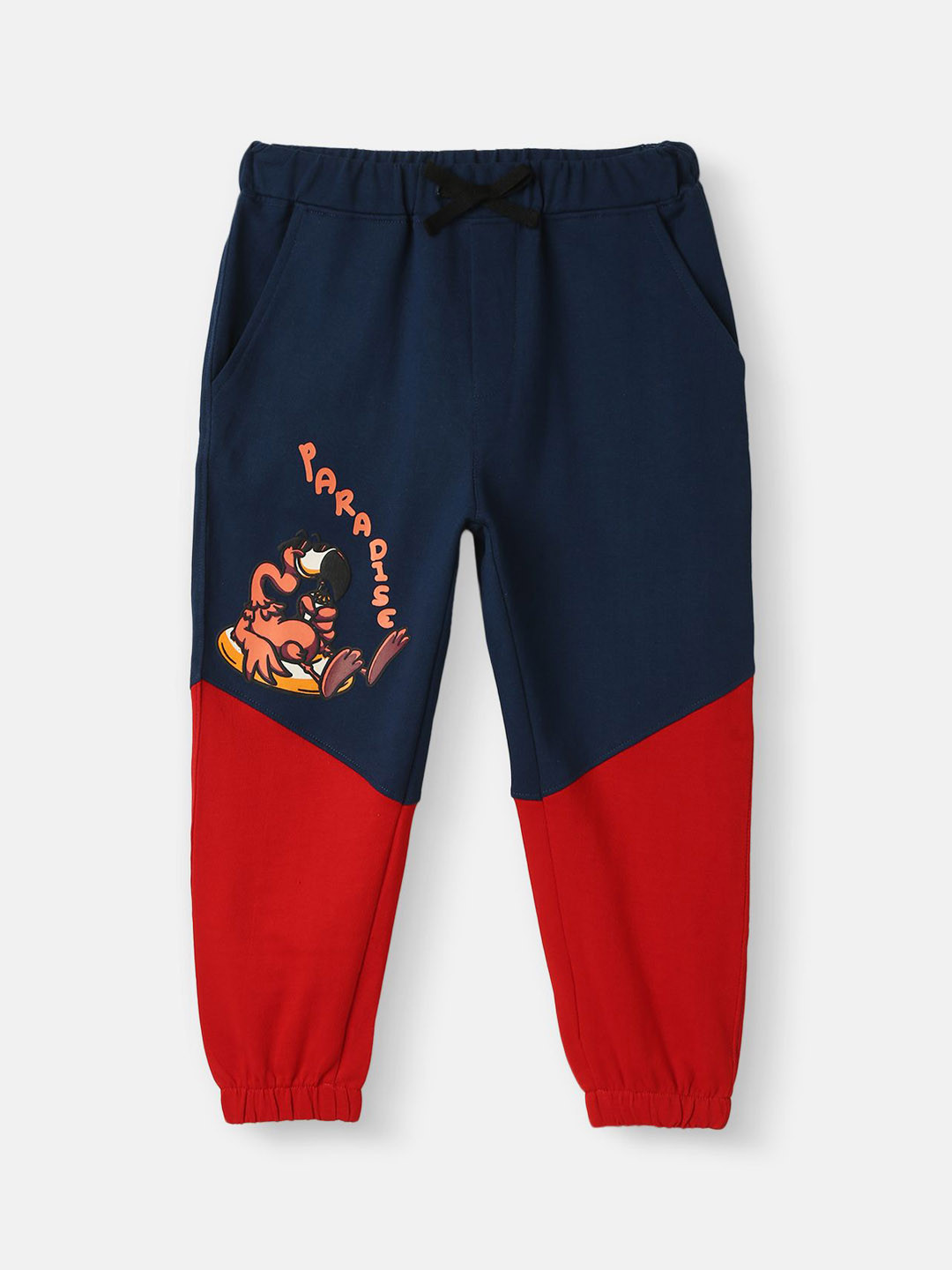 Nauti Nati Boys Colour Blocked Graphic Printed Knit Joggers