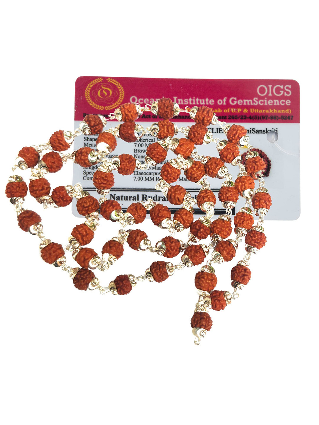 Apnisanskriti Unisex Rudraksha Pure Silver Special Edition Mala