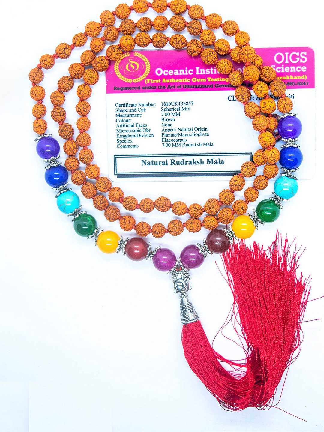 Apnisanskriti Unisex 5-Face Rudraksha & 7 Chakra Buddha Face Mala