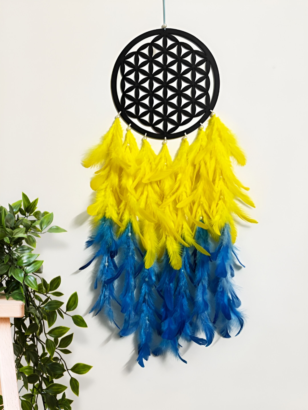 COLOR SPLASH Color Splash Wood Tasselled Matte Hanging Bedroom Dream Catcher-38In