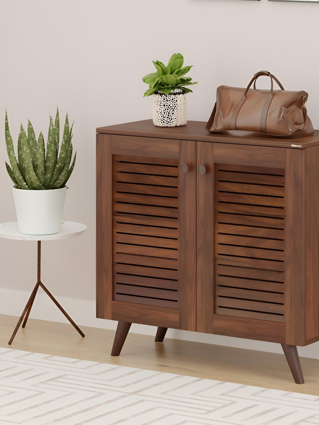 bluewud Brown 3-Layers Carlem 2 Door Shoe Rack Cabinet With Fresh Vent Door