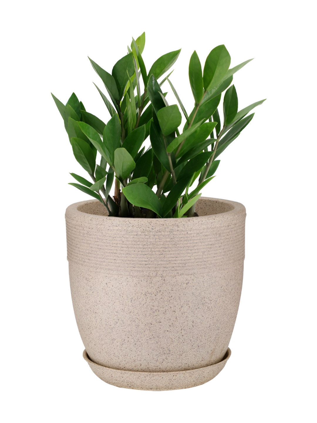 GARDEN'S NEED Unisex Grey Jaguar Cool Pot Planter With Tray