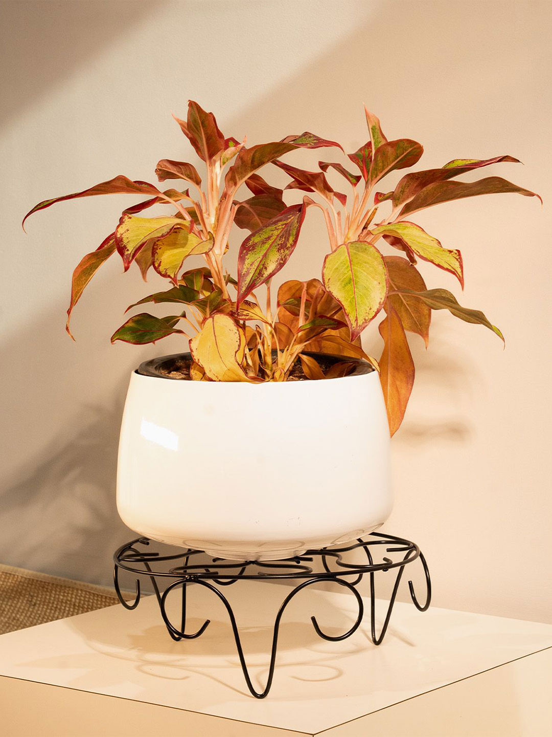 TRUSTBASKET Black Venice Planter Stand