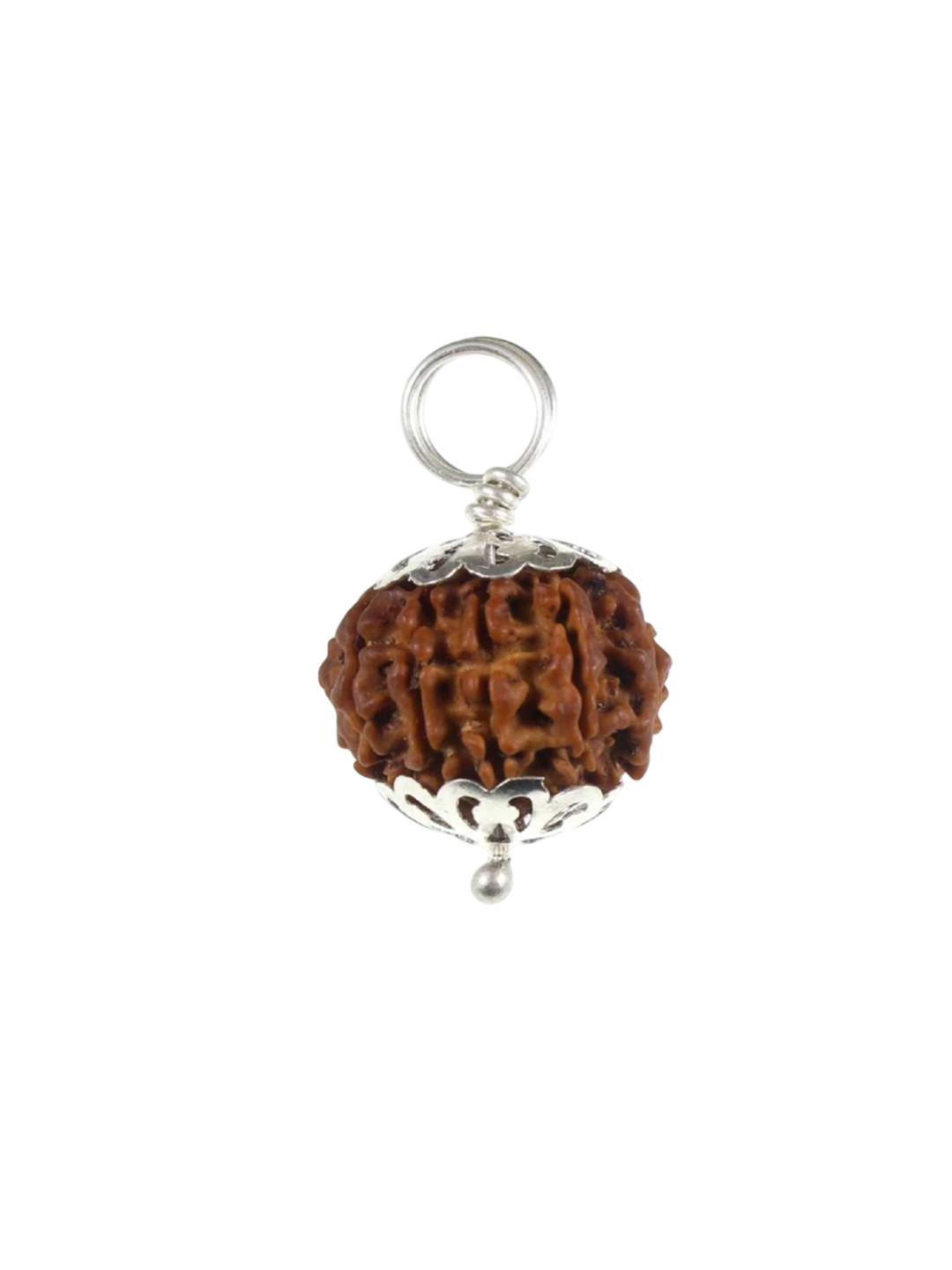 ShivaRatna 10 Mukhi Pure Silver Cap Nepali Rudraksha