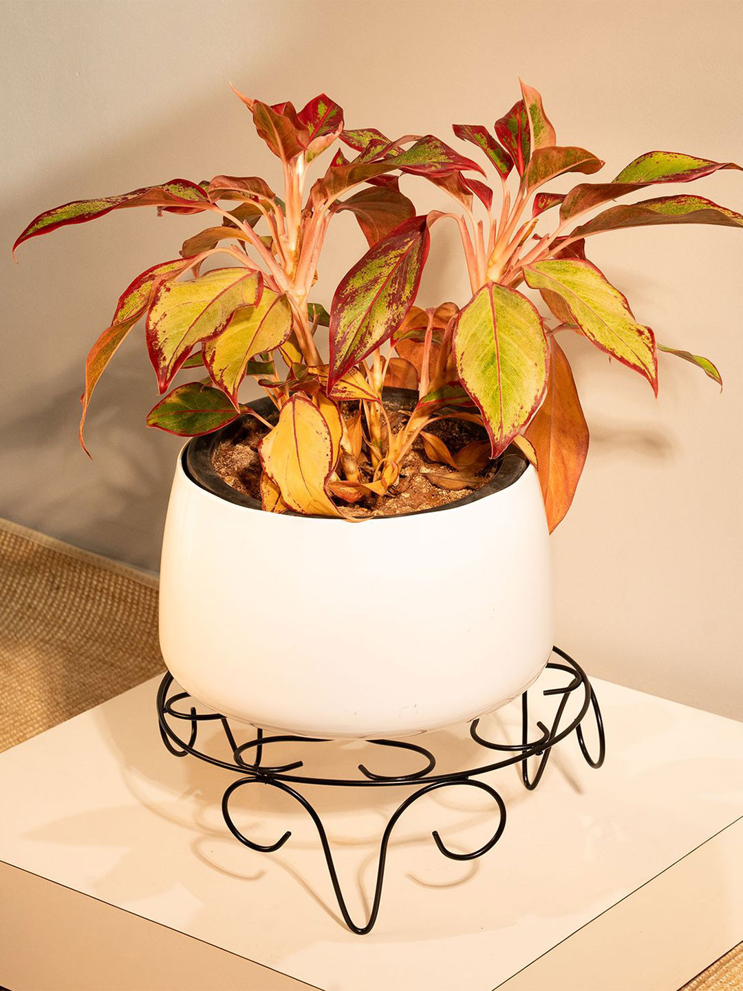 TRUSTBASKET 2-Pcs Black Venice Planter Stand