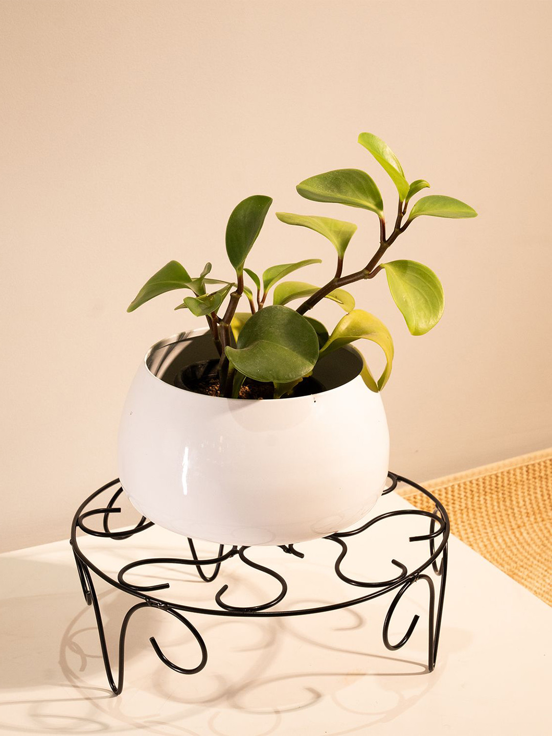 TRUSTBASKET Black Venice PlanterStand