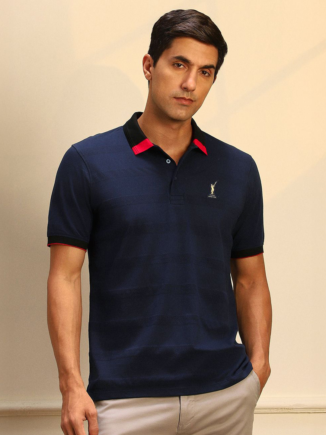 Peter England Casuals Men Polo Collar Stripe Regular Fit T-shirt