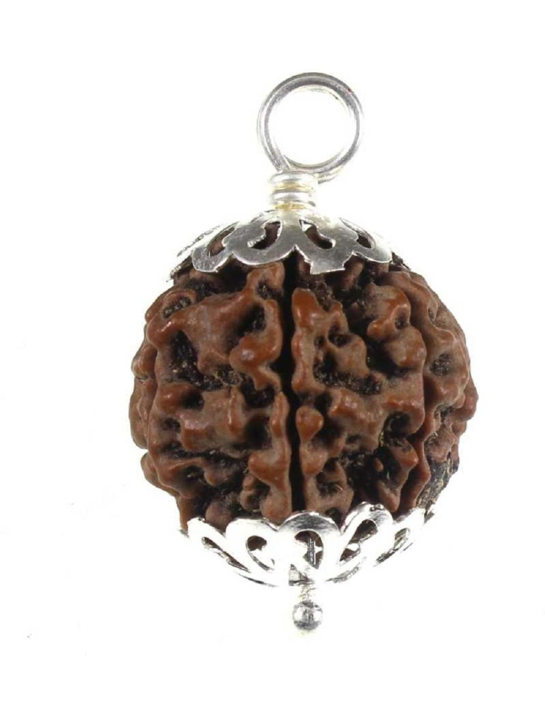 ShivaRatna 5 Mukhi Pure Silver Cap Nepali Rudraksha