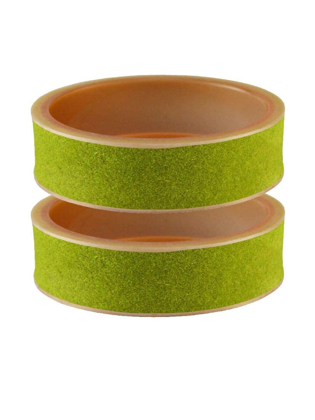 Vidhya Kangan Parrot Acrylic Bangle
