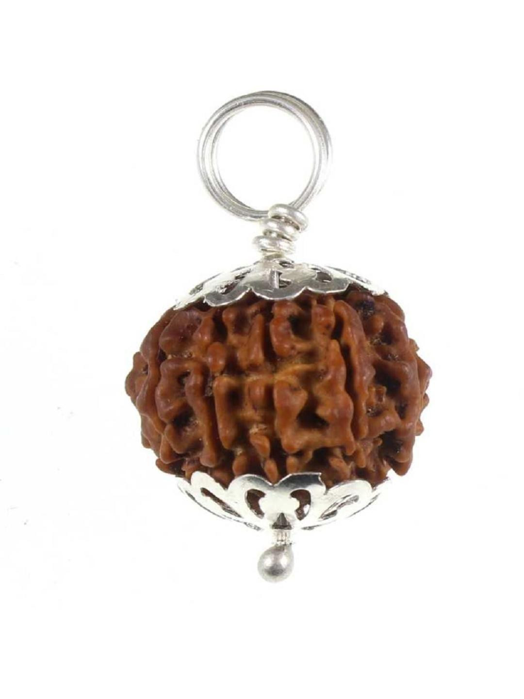 ShivaRatna 12 Mukhi Pure Silver Cap Nepali Rudraksha