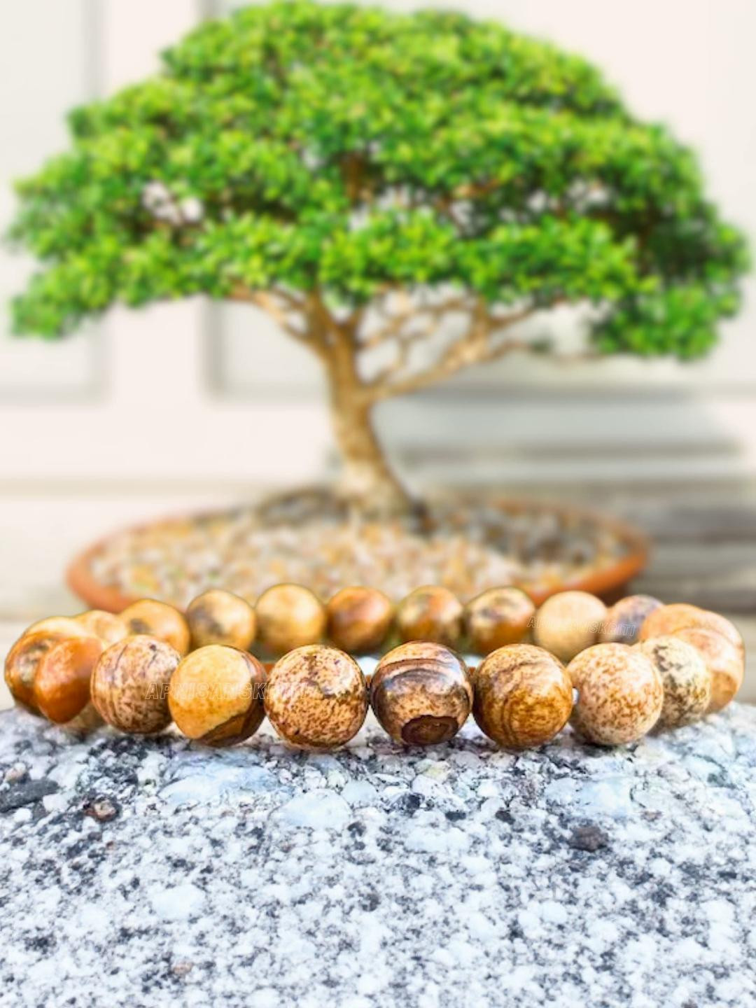 Apnisanskriti Unisex Jasper Stone Bracelet