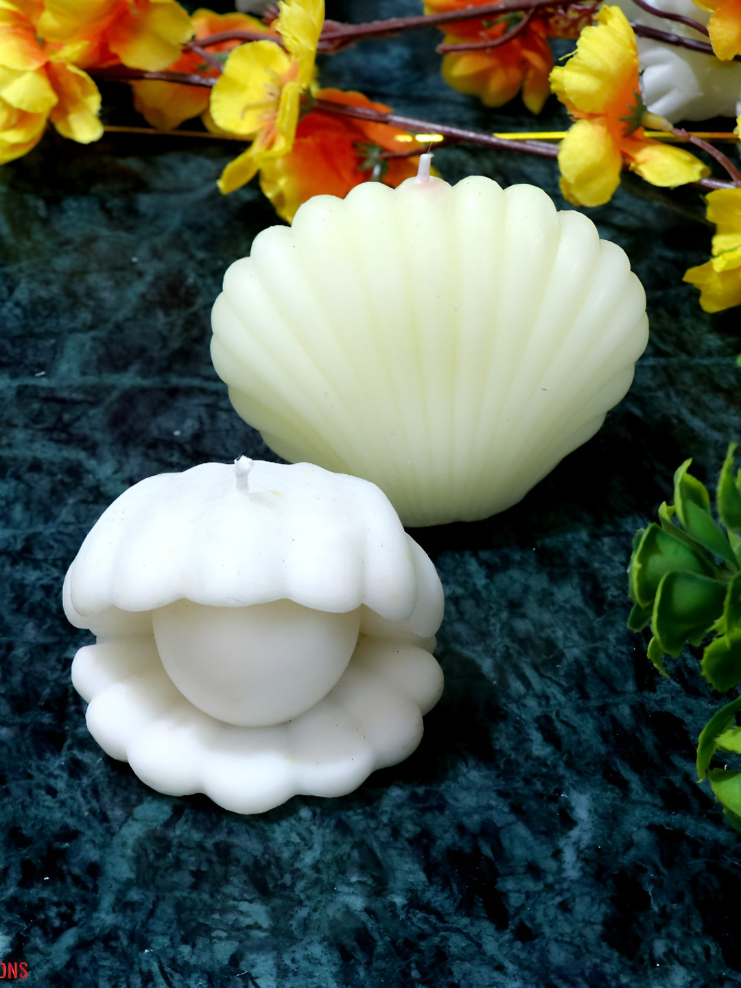 Aura Handmade Close and Open Shell 2Pcs Scented Solid Geometric Regular Tea Light Candles