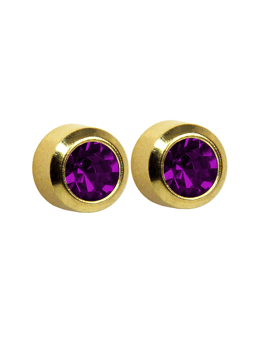 STUDEX 24K Pure Gold Plated Stainless Steel Amethyst Studded Circular Shaped Studs