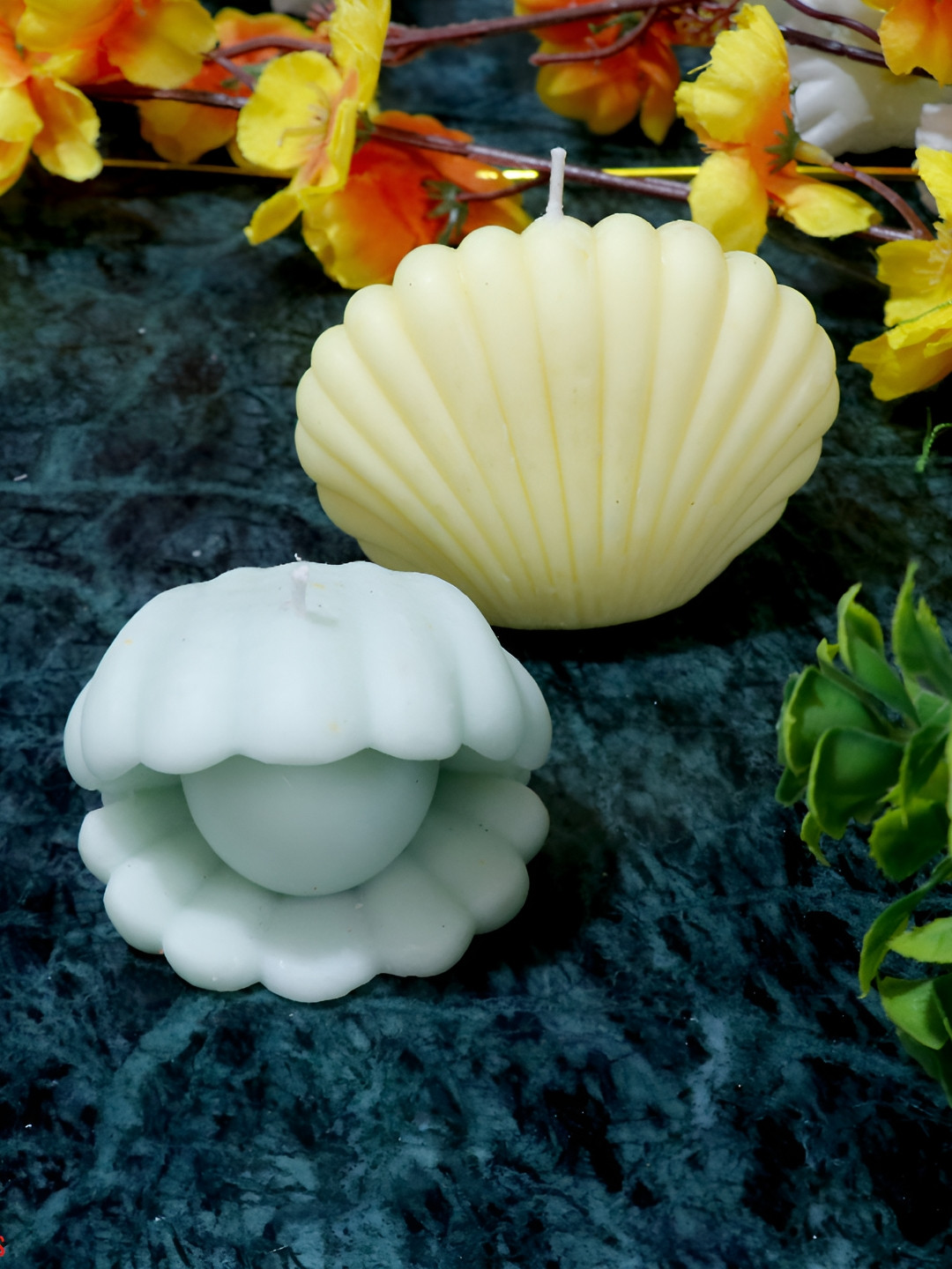 Aura Handmade Open and Close Shell 2Pcs Scented Solid Geometric Regular Tea Light Candles