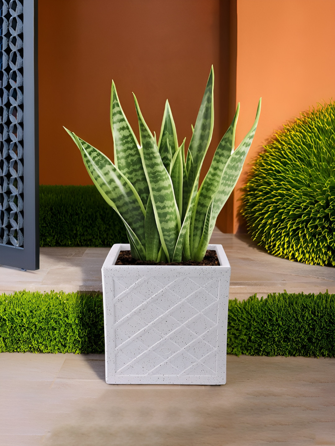 Myntra Elegant Homes White Textured Weather-Resistant Planter