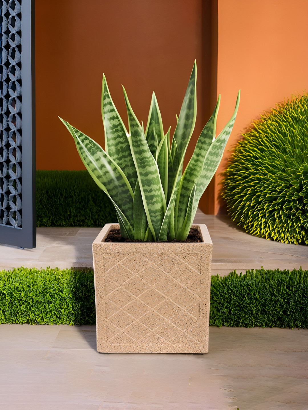 Myntra Elegant Homes Brown Textured Weather-Resistant Planter With Wheels