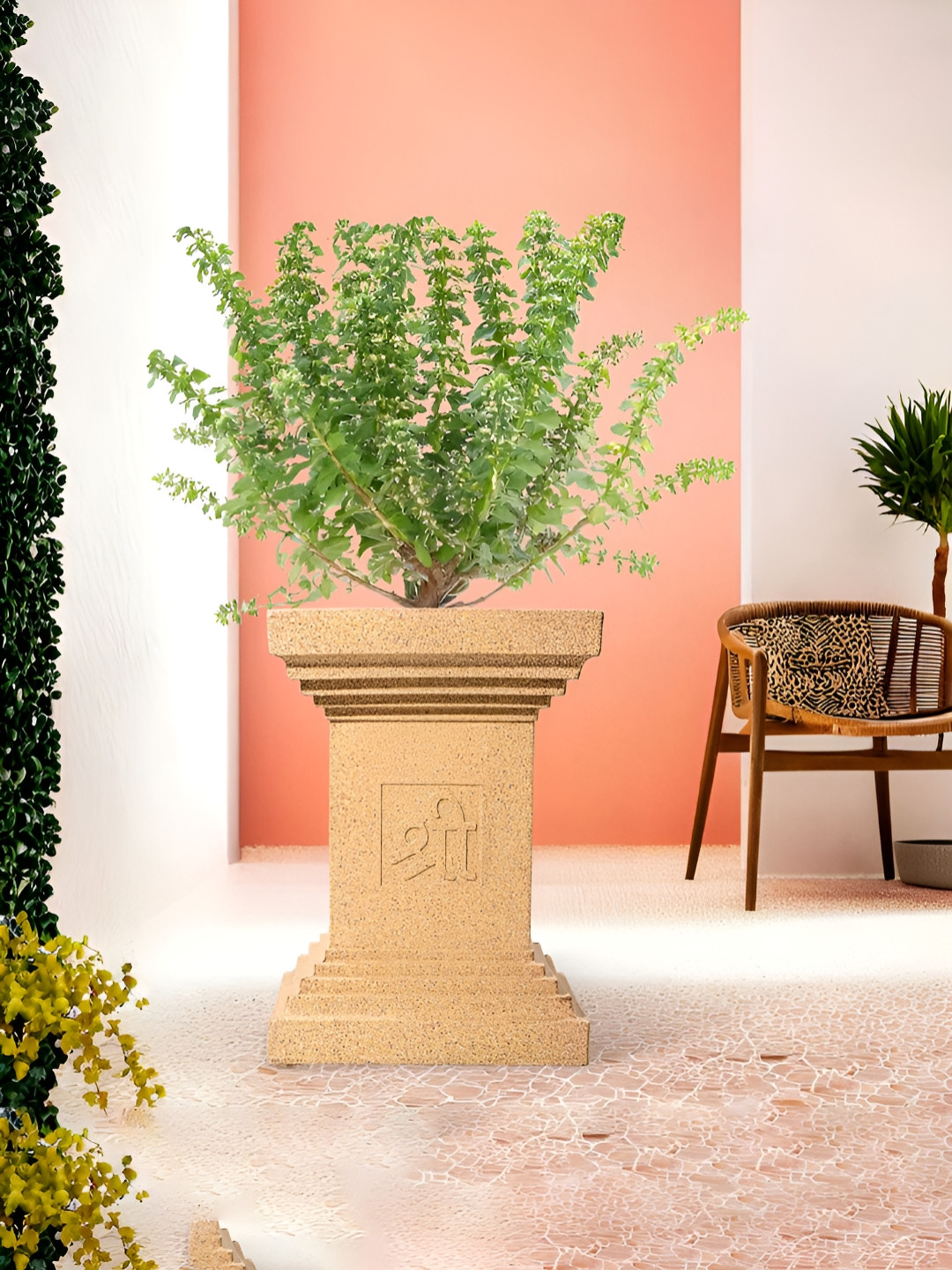 Myntra Elegant Homes Brown Textured Marble Unbreakable UV Protected Tulsi Planter