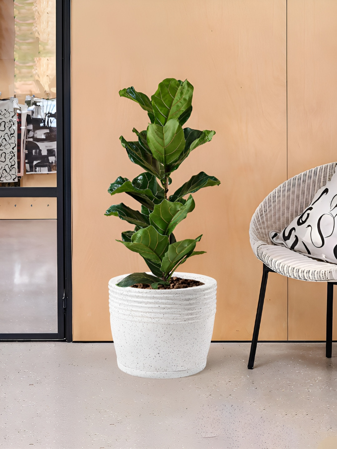 Myntra Elegant Homes White Textured Marble Unbreakable UV Protected Planter
