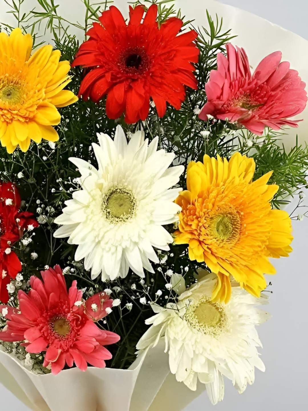 fnp 8-Pcs Red Gerbera Fresh Flowers Bouquet  Father's Day Gift