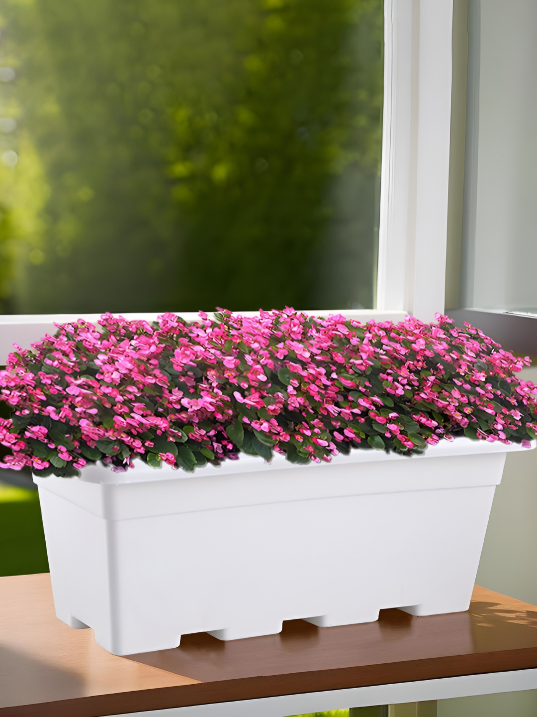 Myntra Elegant Homes White Portable & Break-Resistant Planter