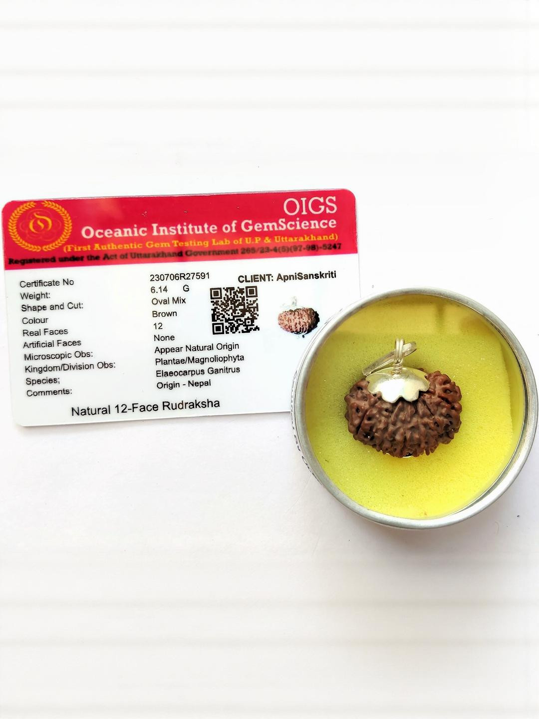 Apnisanskriti Unisex 12-Face Nepali Rudraksha Pure Silver Pendant