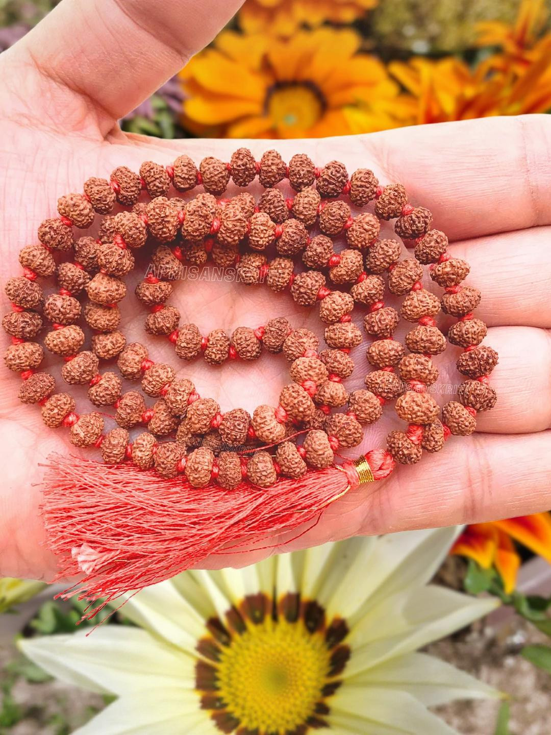 Apnisanskriti Unisex 9 Face Rudraksha 108+1 Mala