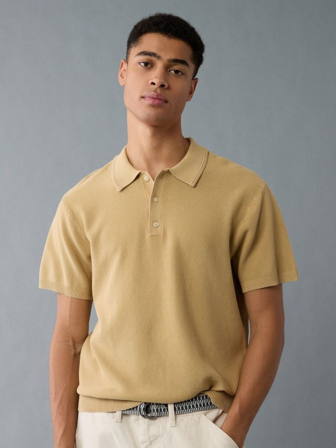 AMERICAN EAGLE OUTFITTERS Polo Collar Regular Fit T-Shirts