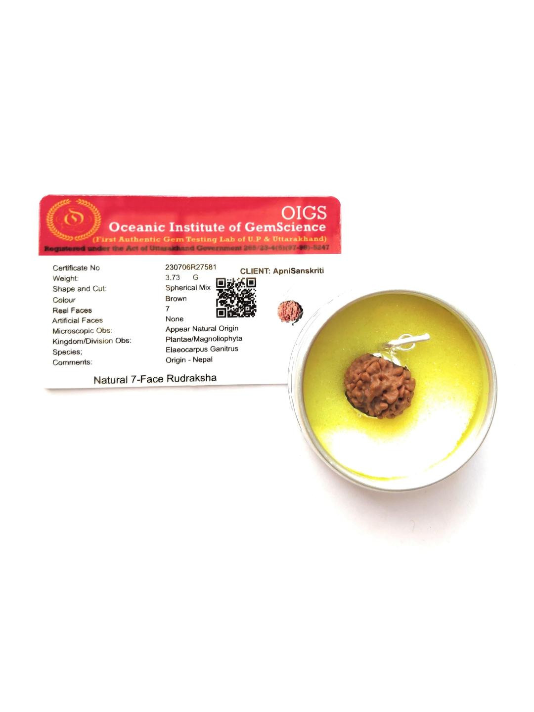 Apnisanskriti Unisex 7-Face Nepali Rudraksha Pure Silver Pendant