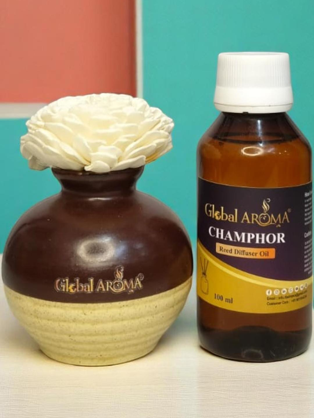 GLOBAL AROMA Camphor Fragracne Ethenic Flower Pot Reed Diffuser Set