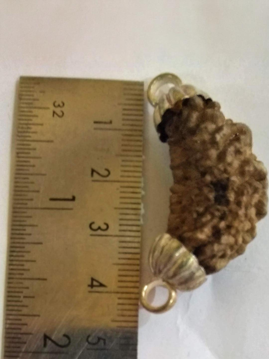 Apnisanskriti Unisex 1 Face Rudraksha Pure Silver Pendant