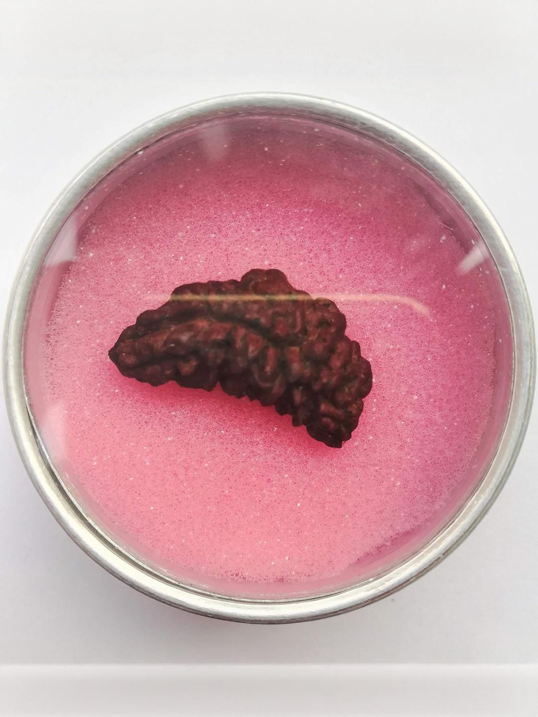 Apnisanskriti Unisex 1 Face Black Rudraksha Pendant