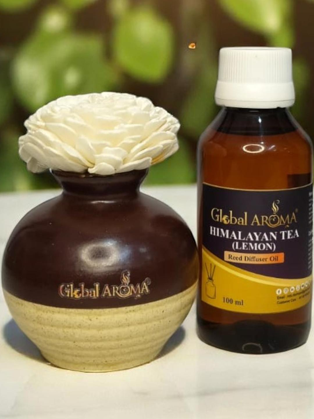 GLOBAL AROMA Himalyan Tea Lemon Fragracne Ethenic Flower Pot Reed Diffuser Set