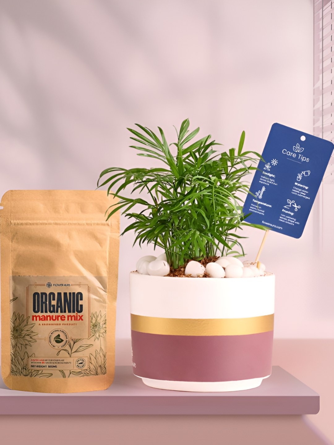 Floweraura Air Purifying Indoor Bamboo Palm Live Plant With Pot & Manure - 10 cm