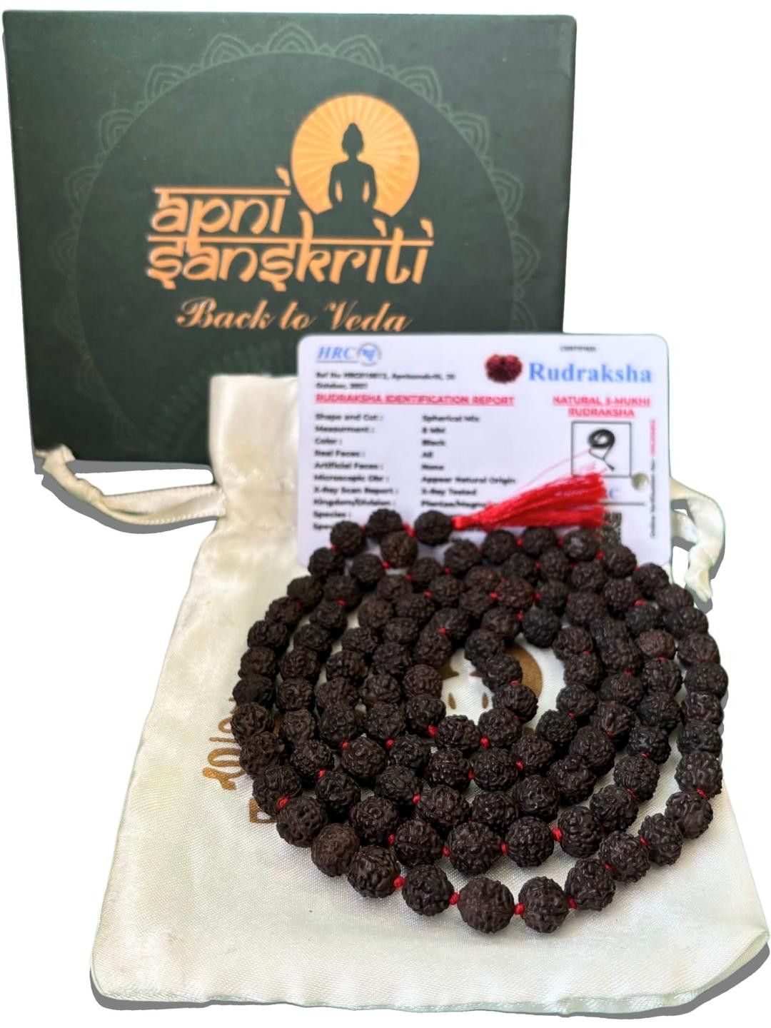 Apnisanskriti Unisex 5 Face Black Rudraksha 108+1 Mala