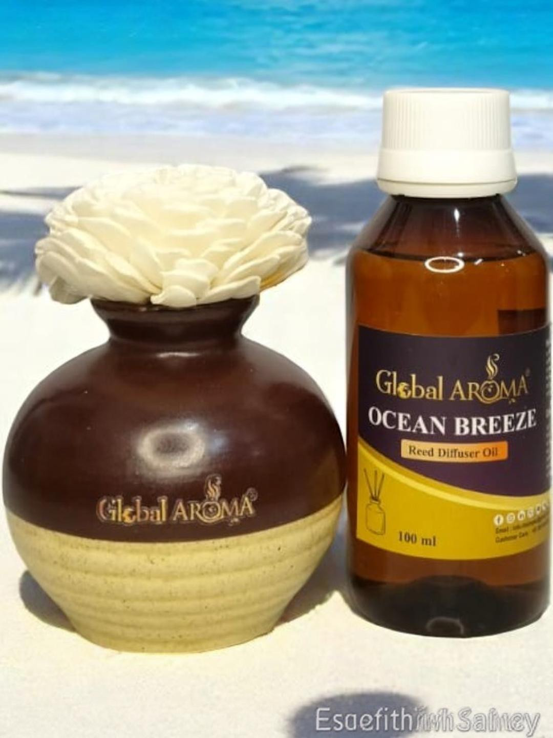 GLOBAL AROMA Ocean Breeze Fragracne Ethenic Flower Pot Reed Diffuser Set