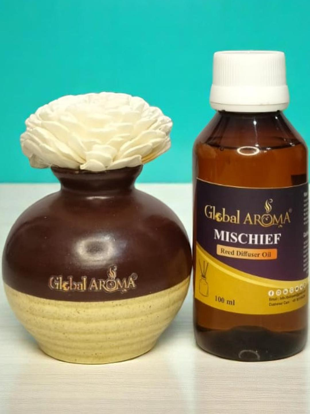 GLOBAL AROMA Mischief Fragracne Flower Pot Reed Diffuser Set