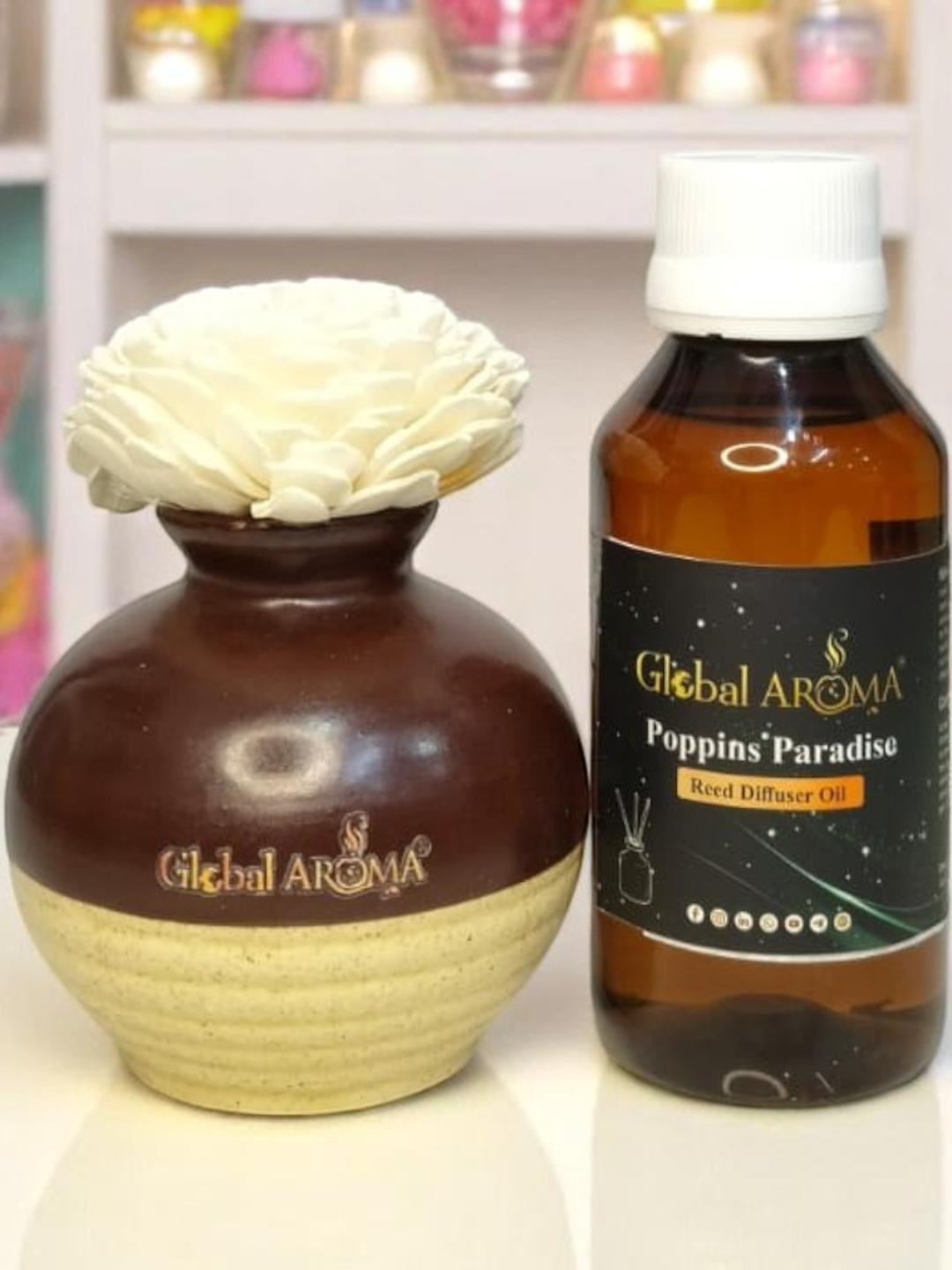 GLOBAL AROMA Poppins Paradise Fragracne Ethenic Flower Pot Reed Diffuser Set