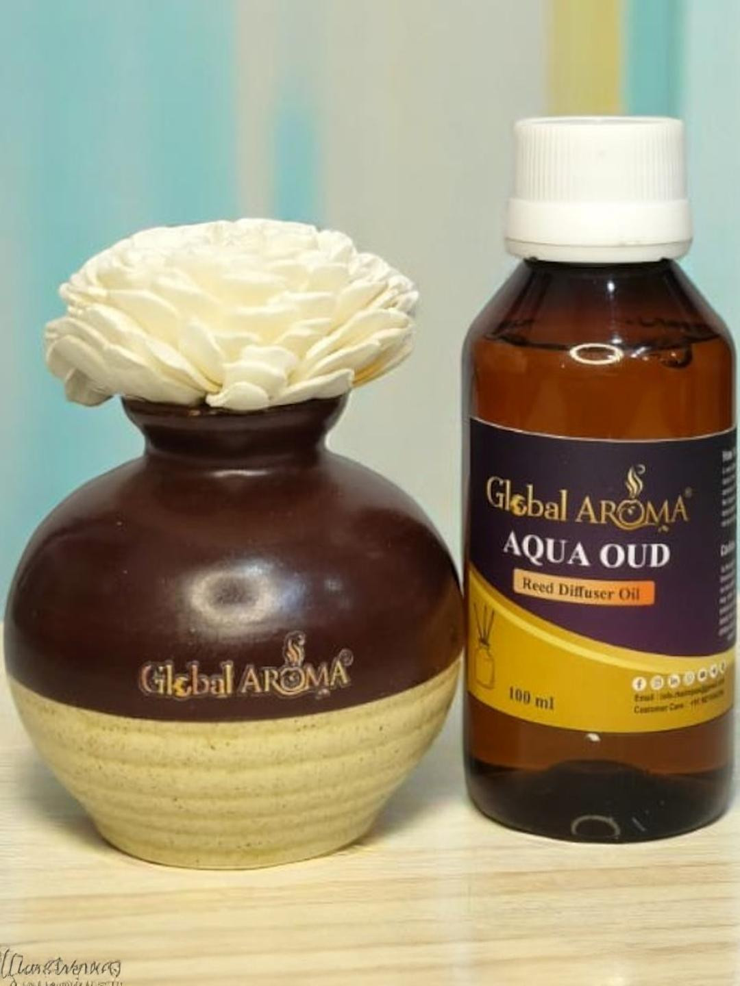 GLOBAL AROMA Aqua Oud  Fragracne Ethenic Flower Pot Reed Diffuser Set