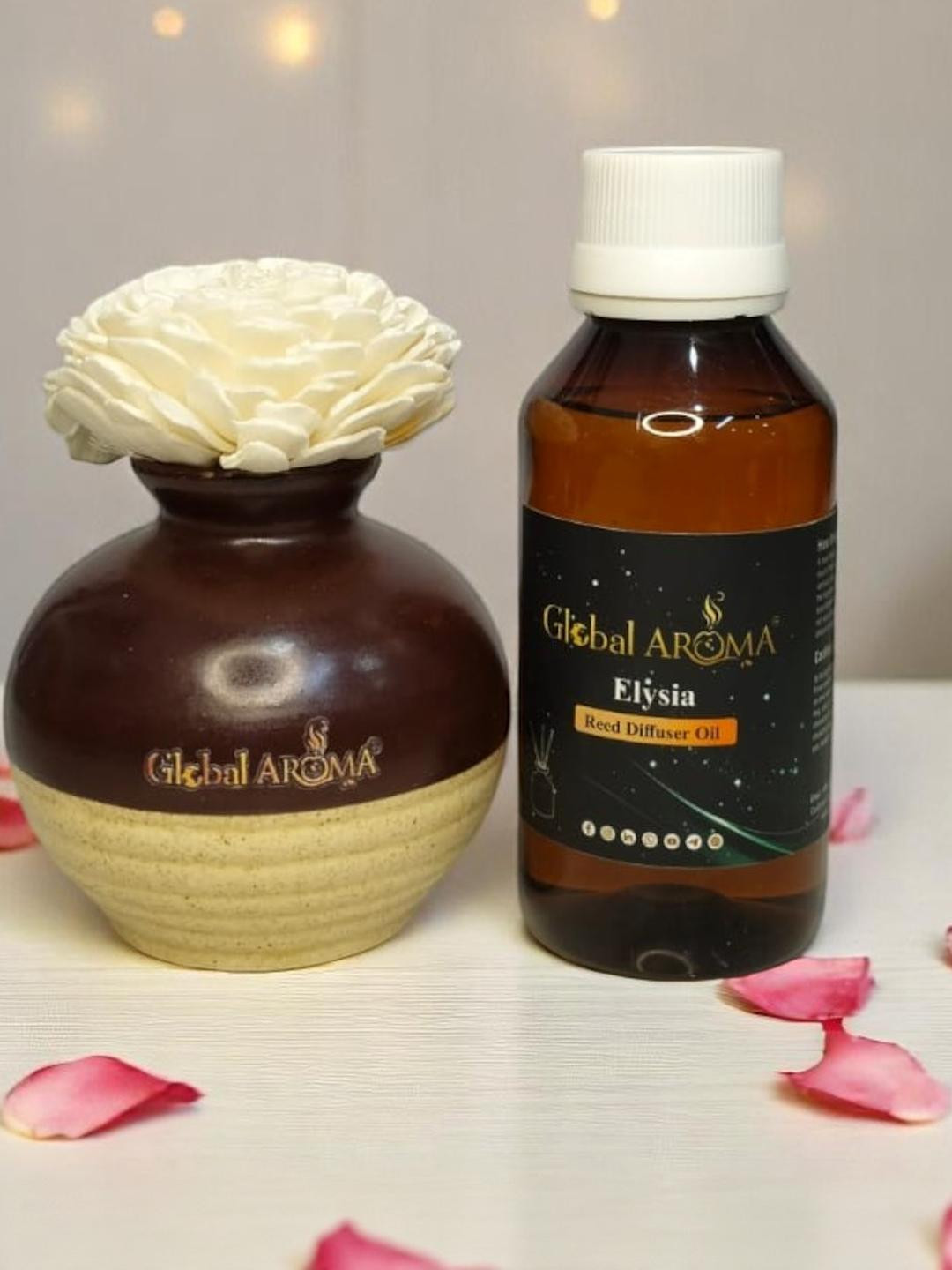 GLOBAL AROMA Elysia Fragracne Ethenic Flower Pot Reed Diffuser Set