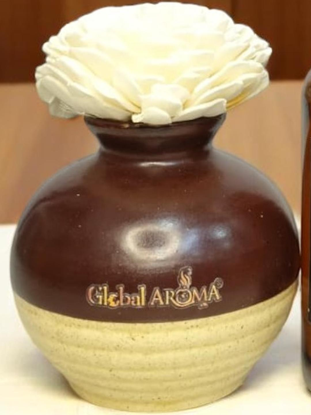 GLOBAL AROMA Golden Oud Fragracne Ethenic Flower Pot Reed Diffuser Set