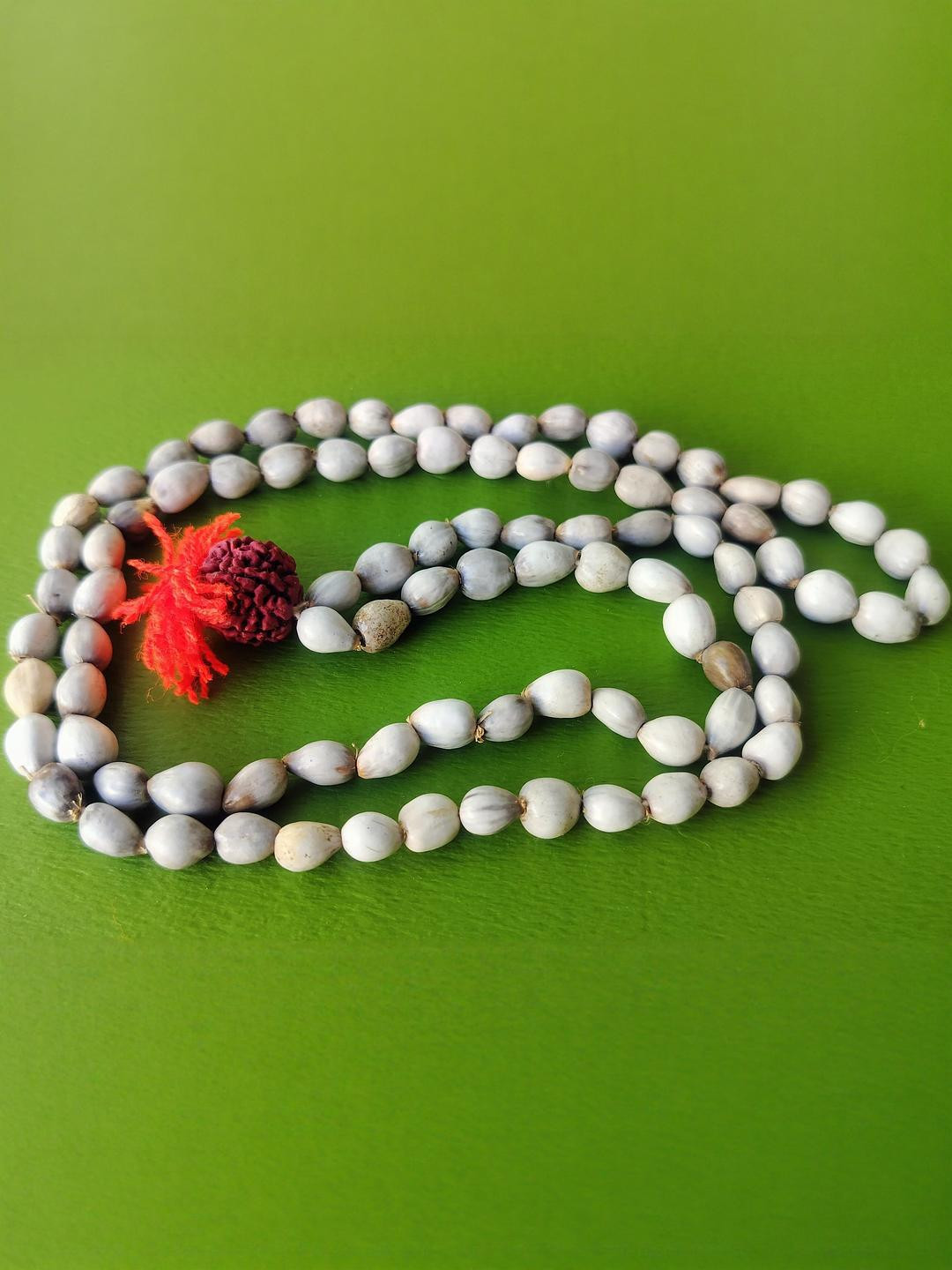 Anvika Vaijanti Mala/Baijanti Mala